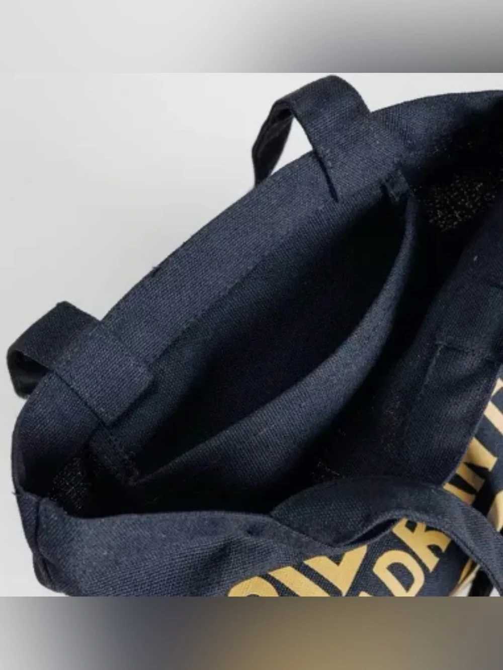 Basgiath War College Mini Tote Bag | Fourth Wing